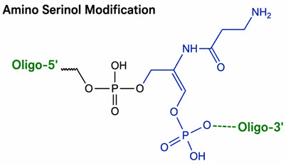 Bio-Synthesis Inc. Oligo Structure